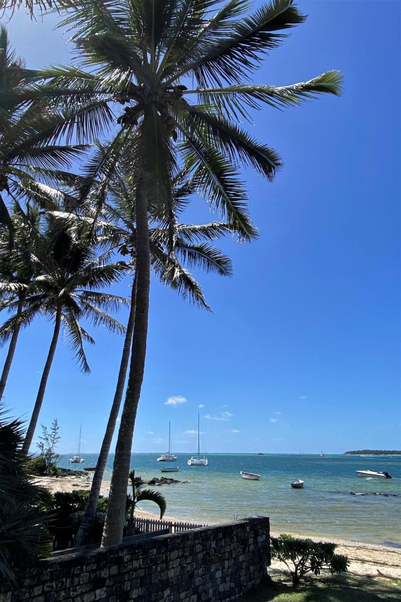 Blue Ocean & * Trou d'Eau Douce